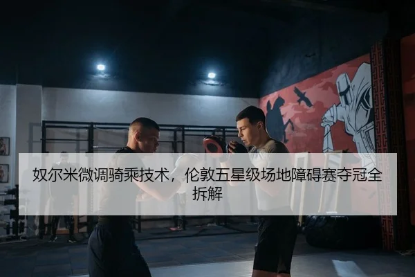 奴尔米微调骑乘技术，伦敦五星级场地障碍赛夺冠全拆解