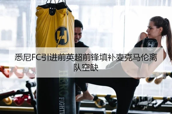 悉尼FC引进前英超前锋填补麦克马伦离队空缺